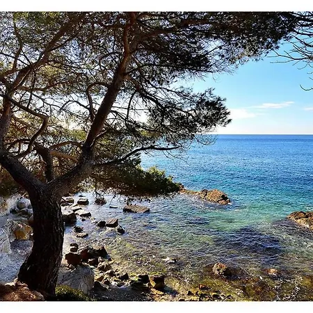 Daire Sublime 100 M From The Croisette *